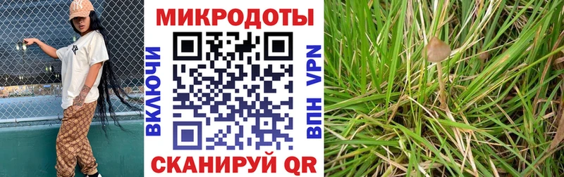 Галлюциногенные грибы мухоморы Махачкала