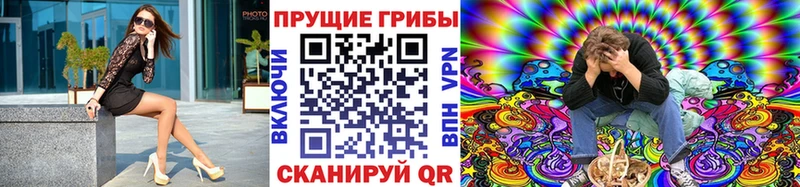 Галлюциногенные грибы мицелий  Купить  Махачкала