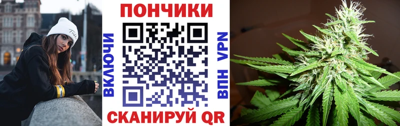 Бошки Шишки конопля  Купить где  Махачкала 